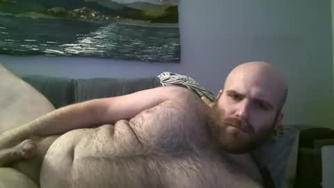 Snapshot of hairiestbear chatting on December 2024 11:36:01 AM Hairiest Bear online show from December 2024 11:36:01 AM