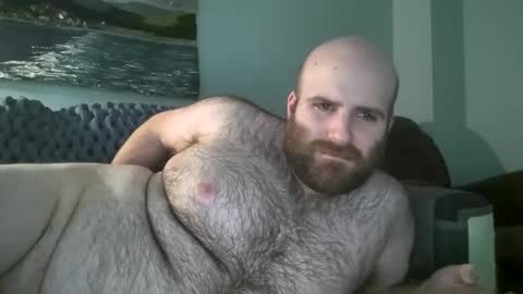 Snapshot of hairiestbear chatting on January 2025 03:47:01 PM Hairiest Bear online show from January 2025 03:47:01 PM