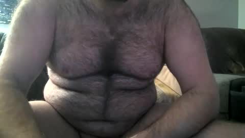 Snapshot of hairiestbear chatting on February 2025 10:39:02 AM Hairiest Bear online show from February 2025 10:39:02 AM