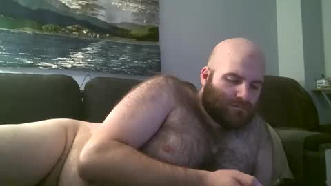 Snapshot of hairiestbear chatting on March 2025 03:01:01 AM Hairiest Bear online show from March 2025 03:01:01 AM