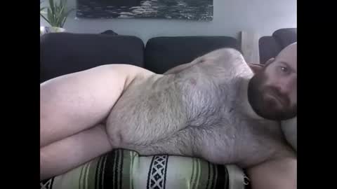 Hairiest Bear online show from March 2026 08:36:01 AM
