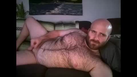 Hairiest Bear online show from April 2026 11:39:02 PM