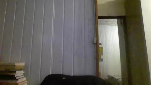 Snapshot of hairy_man_69_ chatting on January 2025 10:40:02 PM horny online show from January 2025 10:40:02 PM