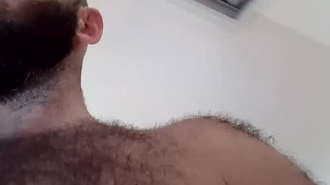 Snapshot of hairyassforme chatting on July 2026 12:29:02 PM Tim online show from July 2026 12:29:02 PM