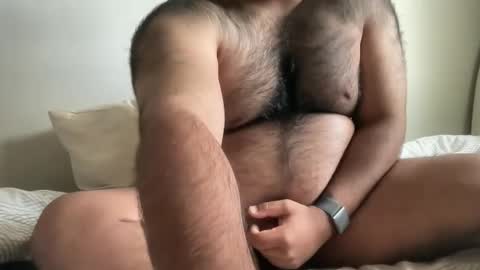Snapshot of hairyaussie00 chatting on December 2024 03:04:02 AM hairyaussie00 online show from December 2024 03:04:02 AM