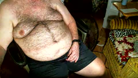 hairybear813 online show from November 2025 09:50:02 PM