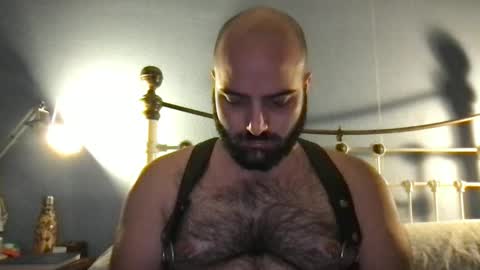 Hairy Guy online show from December 2024 07:22:01 PM