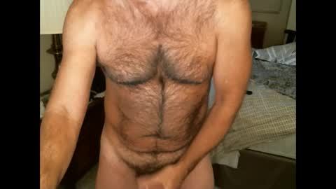 Snapshot of hairypecsguy chatting on December 2024 03:06:01 AM Hairy pecs online show from December 2024 03:06:01 AM