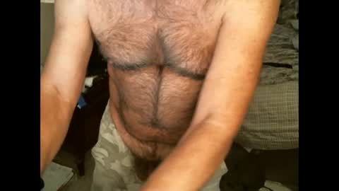 Snapshot of hairypecsguy chatting on December 2024 06:38:02 PM Hairy pecs online show from December 2024 06:38:02 PM