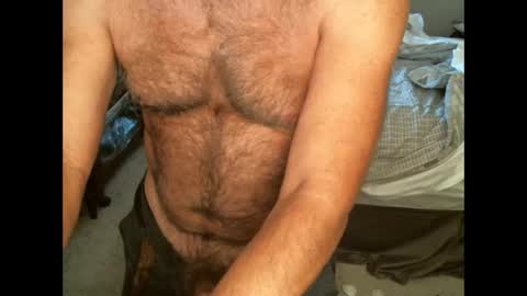 Snapshot of hairypecsguy chatting on September 2025 11:15:01 PM Hairy pecs online show from September 2025 11:15:01 PM