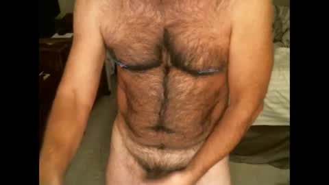 Hairy pecs online show from November 2025 08:47:01 AM