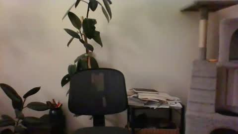 Snapshot of hairypussylover089 chatting on July 2026 04:36:02 AM hairypussylover089 online show from July 2026 04:36:02 AM