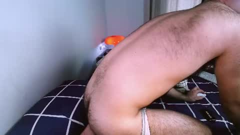 Zod Bakcheia online show from August 2026 05:15:01 PM