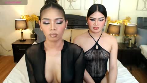 Snapshot of haisleypalmer chatting on April 2026 12:29:02 PM YOUR SIDECHIC HAILEY online show from April 2026 12:29:02 PM