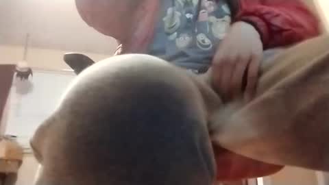 Snapshot of halo3489 chatting on March 2026 09:49:02 AM halo3489 online show from March 2026 09:49:02 AM