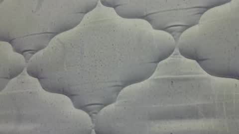 Snapshot of hamhead71 chatting on April 2026 08:10:01 AM hamhead71 online show from April 2026 08:10:01 AM