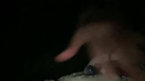 Snapshot of hammer1960 chatting on March 2026 03:32:02 AM relax online show from March 2026 03:32:02 AM