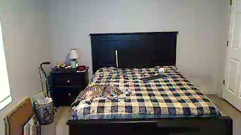 Snapshot of hammerthatthang73 chatting on May 2026 11:28:02 AM hammerthatthang73 online show from May 2026 11:28:02 AM