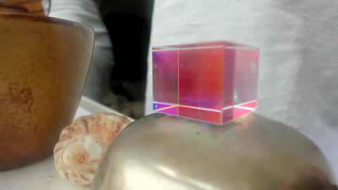 Snapshot of handncocknocum chatting on December 2024 01:54:02 PM handncocknocum online show from December 2024 01:54:02 PM