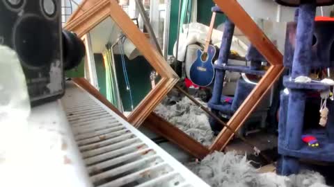 Snapshot of handncocknocum chatting on February 2025 07:15:02 AM handncocknocum online show from February 2025 07:15:02 AM