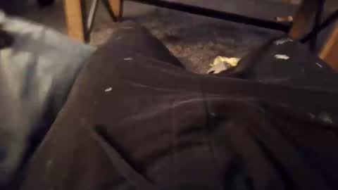 handylong88 online show from November 2025 05:51:02 AM