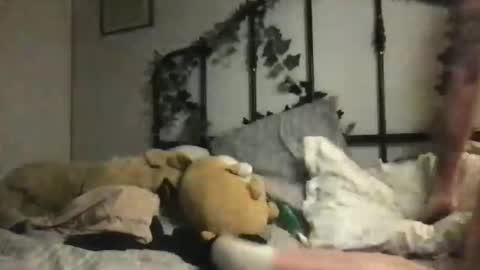 Snapshot of hani__moon_ chatting on November 2025 06:01:01 AM hani__moon_ online show from November 2025 06:01:01 AM