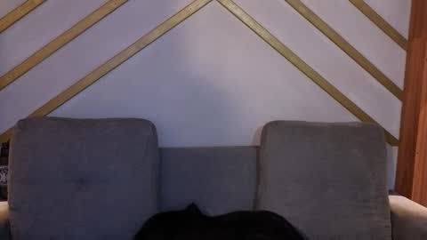 ANA online show from November 2025 12:04:02 PM