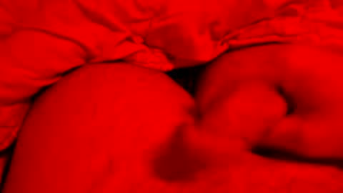 Small things matters online show from March 2026 06:12:02 PM