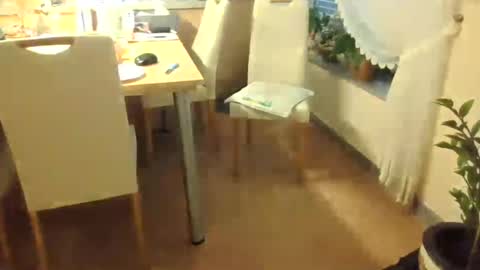 Snapshot of harald1234 chatting on July 2026 01:18:02 PM harald1234 online show from July 2026 01:18:02 PM