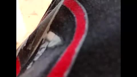 hardandhorny422 online show from October 2025 05:14:02 PM