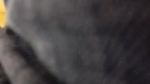 hardandhorny422 online show from May 2026 05:18:02 PM