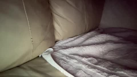 Snapshot of hardcock2622 chatting on December 2024 07:44:01 AM Slim West Cox online show from December 2024 07:44:01 AM