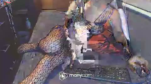 Irina online show from March 2025 12:48:01 PM