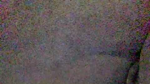 Snapshot of hardiebois chatting on June 2026 04:57:01 AM Micheal online show from June 2026 04:57:01 AM