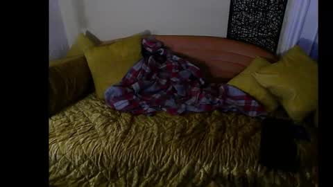 Snapshot of hardigan_dix chatting on December 2024 02:22:02 AM hardigan online show from December 2024 02:22:02 AM