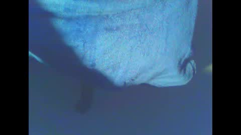 Snapshot of hardning chatting on December 2024 05:12:02 AM hardning online show from December 2024 05:12:02 AM