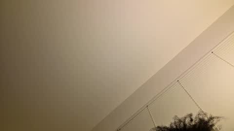 Snapshot of hardone00000 chatting on November 2025 03:19:01 AM hardone00000 online show from November 2025 03:19:01 AM