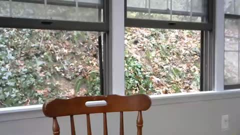 hardworkertn online show from February 2025 07:16:02 PM