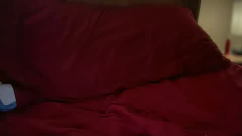 Snapshot of haroldhaller chatting on October 2025 02:05:01 PM Harry H online show from October 2025 02:05:01 PM