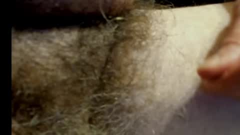 harry_banana online show from January 2025 11:10:02 PM