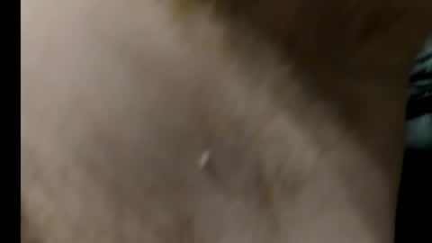 harry_banana online show from January 2025 08:29:02 AM