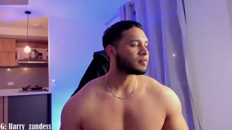 Harry Zandes online show from February 2025 07:54:02 AM