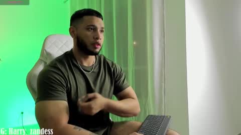 Harry Zandes online show from February 2025 03:23:01 AM