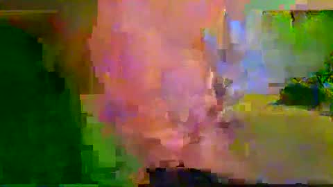 harryhavana online show from February 2025 07:34:01 AM