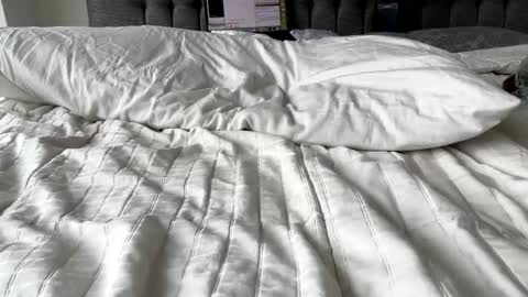 Amber  -   or vip  online show from March 2025 04:46:01 PM