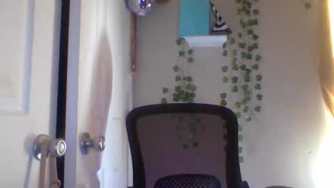 hawtchoc37 online show from February 2026 09:36:02 PM