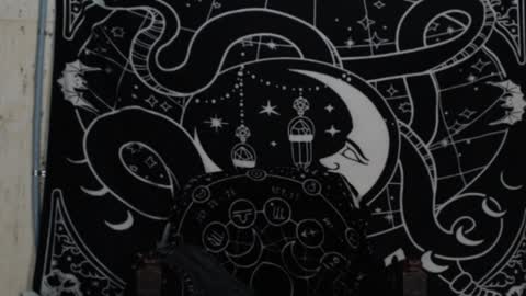 Hayle Woods online show from December 2024 02:42:01 AM