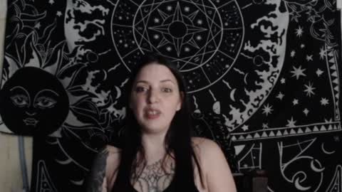 Hayle Woods online show from December 2024 02:43:01 AM