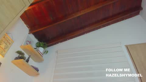 Snapshot of hazel_shy chatting on December 2024 03:00:02 AM Im Hazel online show from December 2024 03:00:02 AM