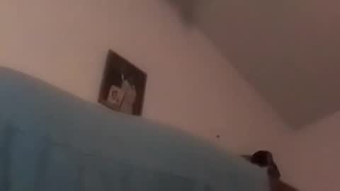 hbdj2164 online show from December 2024 10:34:01 AM